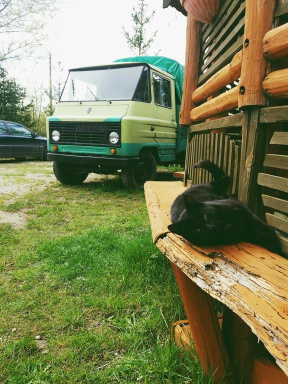 Ostoja Leilighet Białowieża Eksteriør bilde